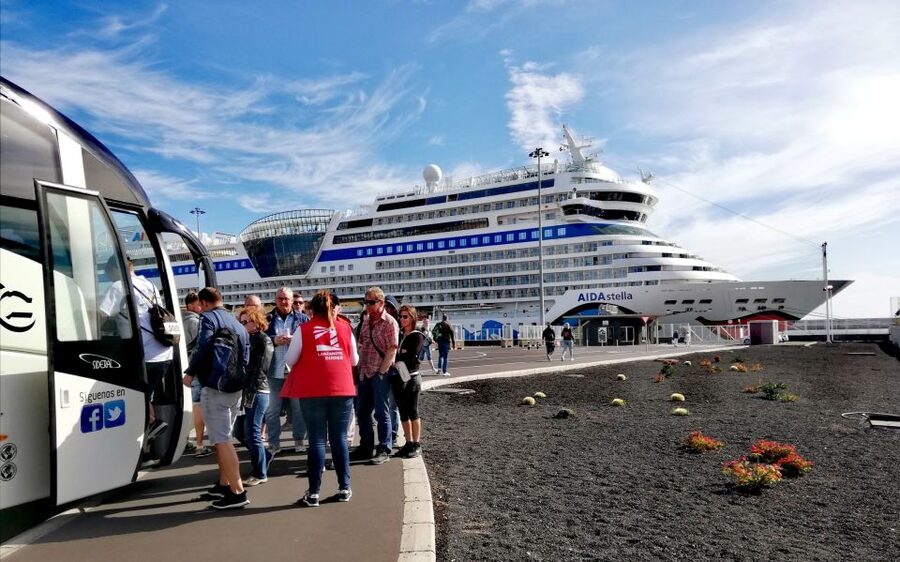 Lanzarote: Day Tour for Cruise Passengers - Timanfaya National Park and the Mountains of Fire