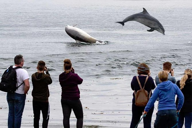 Legendary Tour of the Black Isle from Inverness or Invergordon - Key points to know before you book