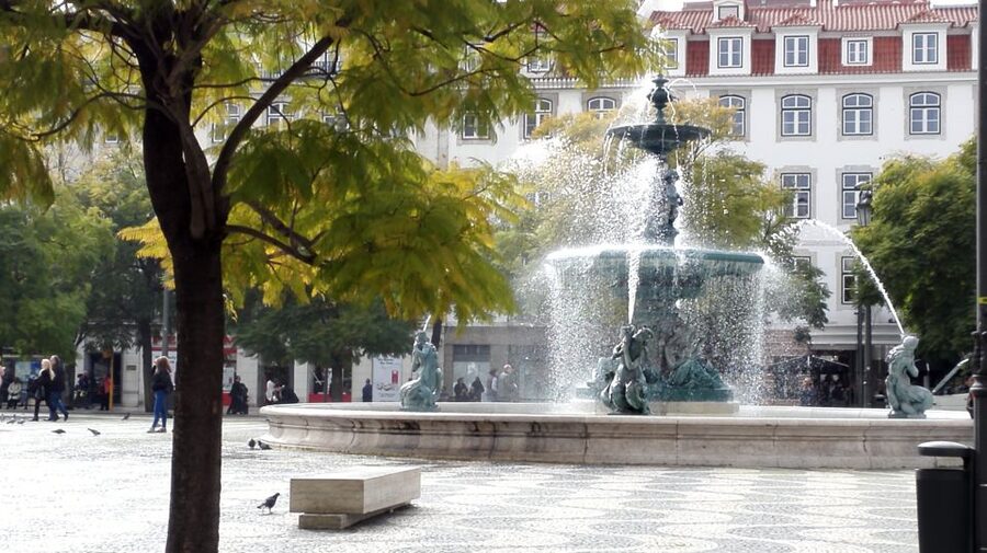 Lisbon: Layover Tour with Airport Pickup and Drop-Off - How much flexibility should you expect?
