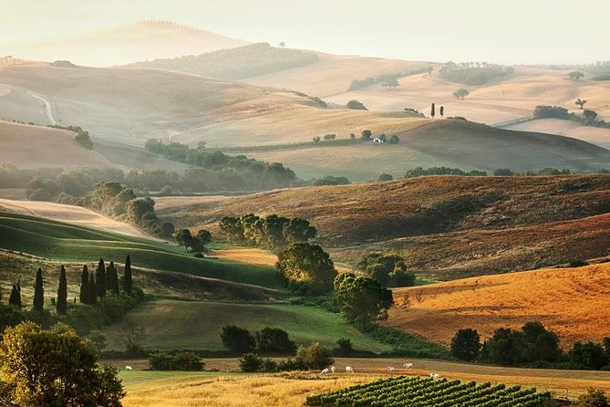 Livorno port to Bolgheri wine region and Etruscan castle - Why Bolgheri makes a good day from Livorno