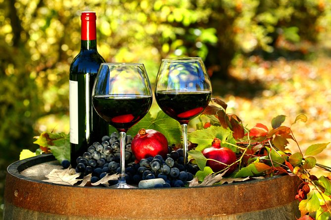 Livorno Shore Excursion: Chianti and Tuscany Countryside Private Wine Tour - The ship-return promise and practical details