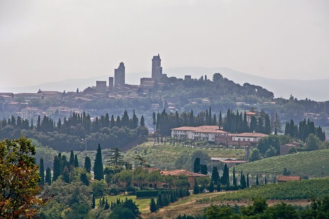 Livorno Shore Excursion: Private Day Trip to Siena and San Gimignano - What the private format really adds