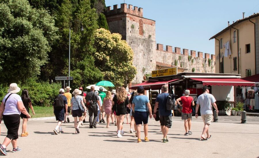 Livorno: Shore Excursion to Pisa and Livorno Bus Tour - Who should choose this tour?
