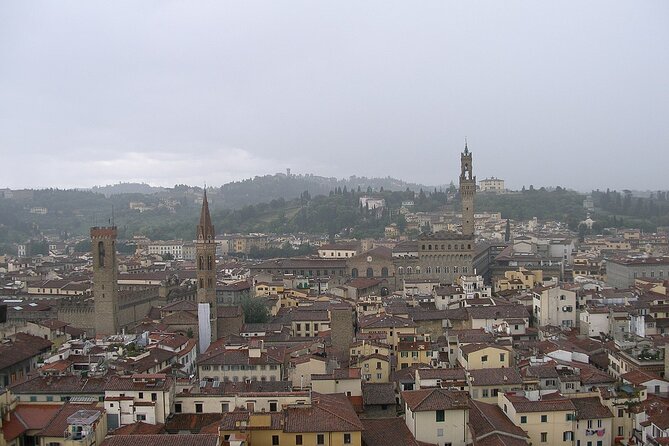Livorno to Florence and Pisa Day Trip with Cruise Port Pickup - Pisa and the Leaning Tower in one focused hour