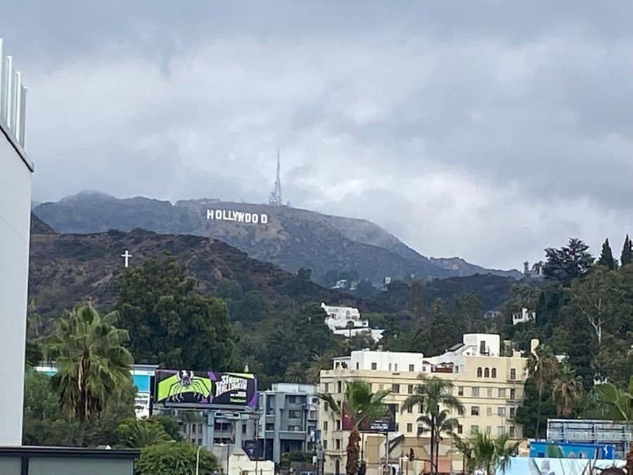 Los Angeles: City Highlights Tour From Cruise Port - Vehicle size can make or break the day