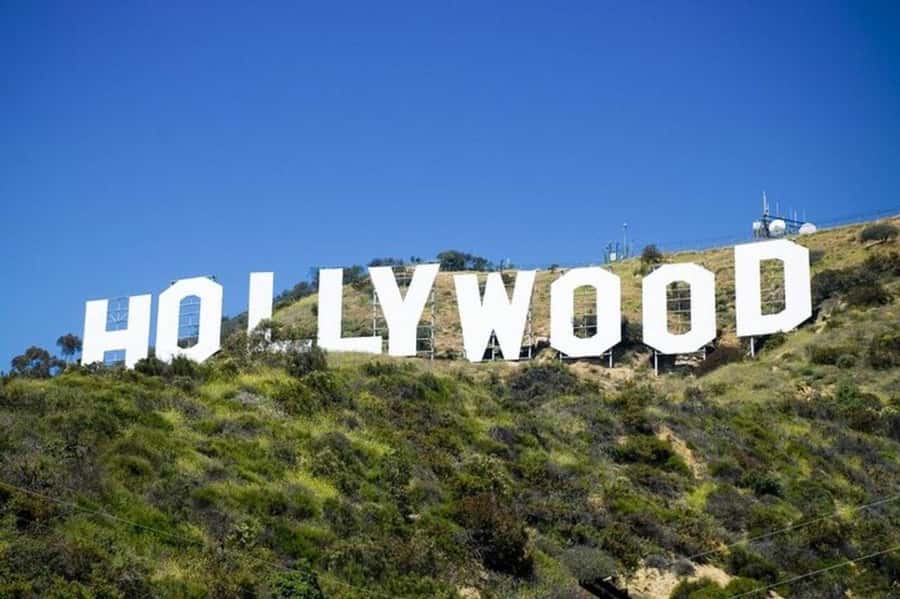 Los Angeles: City Highlights Tour From Cruise Port - Downtown Los Angeles from the coach