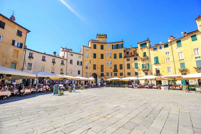 Lucca tour and Pisa Tower + WineTasting by van from Livorno Port - The family winery is the heart of the day