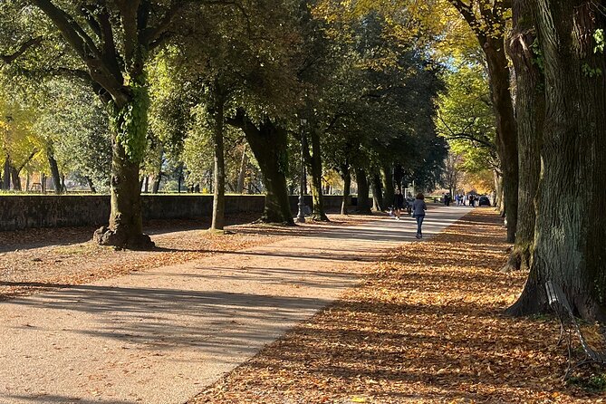 Lucca tour and Pisa Tower + WineTasting by van from Livorno Port - Guides make a real difference