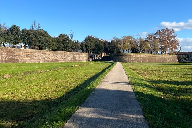 Lucca tour and Pisa Tower + WineTasting by van from Livorno Port - Who should book this experience