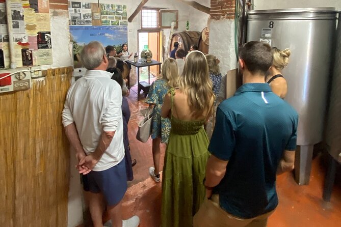 Lucca tour and Pisa Tower + WineTasting by van from Livorno Port - My call: book it for the mix, not just Pisa