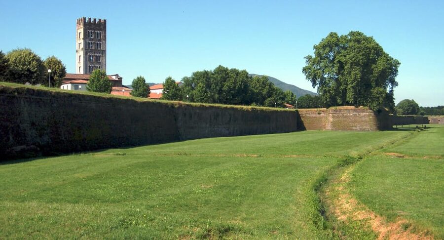 Lucca Tour & Pisa Tower + Wine Tasting by van from Livorno - Why Lucca makes the day worthwhile