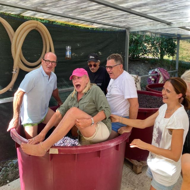 Lucca Tour & Pisa Tower + Wine Tasting by van from Livorno - Pisa and the Leaning Tower