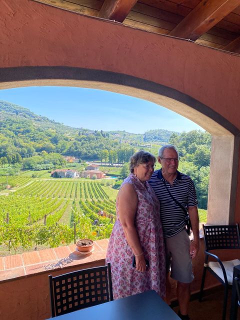 Lucca Tour & Pisa Tower + Wine Tasting by van from Livorno - Price, group size, and what is included
