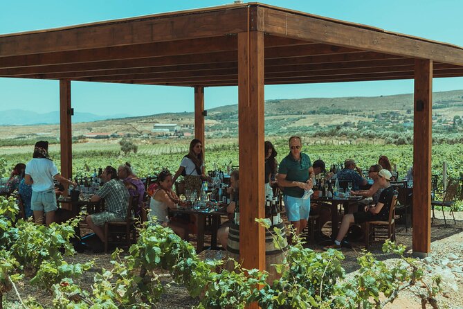 LUXURY PRIVATE Wine Tasting in CRETE (also for CRUISE SHIPS) - The Picnic Under the Olive Trees