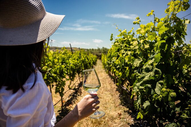 LUXURY PRIVATE Wine Tasting in CRETE (also for CRUISE SHIPS) - Pickup Around Hersonissos, Stalis, and Malia