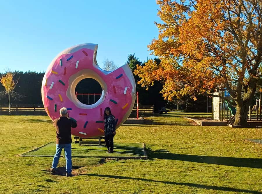 Lyttelton: Shore Excursion, Castle Hill & Inland Canterbury - Key points to know before booking