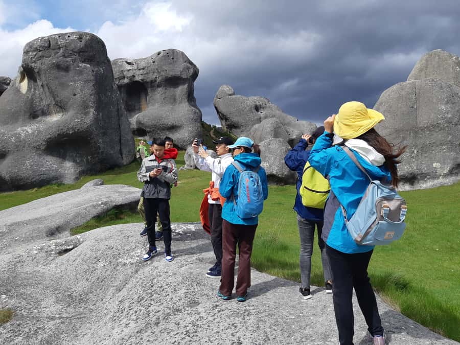 Lyttelton: Shore Excursion, Castle Hill & Inland Canterbury - Is $298 a fair price?