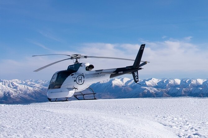 Lyttelton Shore Excursion: Christchurch Sightseeing with Antarctic Center - The International Antarctic Centre takes the tour up a notch