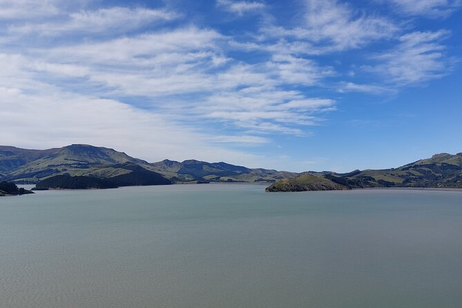 Lyttelton Shore Excursion: Christchurch Sightseeing with Antarctic Center - Who will enjoy this shore excursion?