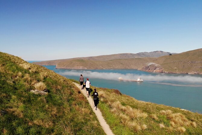 Lyttelton Shore Excursion - Guided Walking Tour and Picnic - Key points at a glance