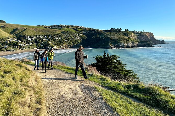 Lyttelton Shore Excursion - Guided Walking Tour and Picnic - Why Godley Head makes a strong shore excursion