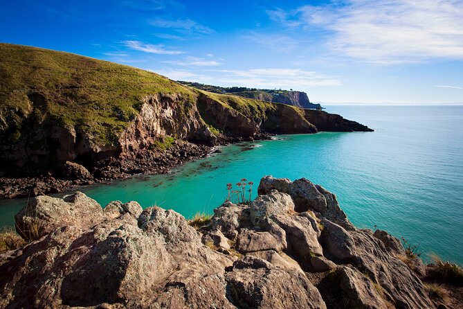 Lyttelton Shore Excursion - Guided Walking Tour and Picnic - Three hours around the Godley Head Loop