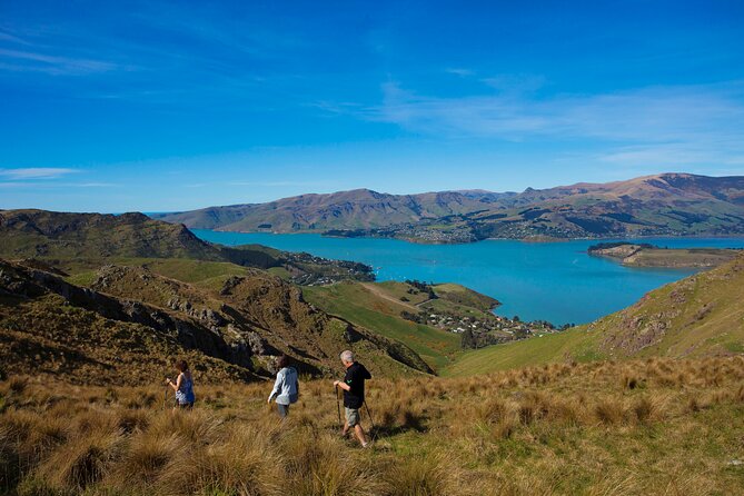 Lyttelton Shore Excursion - Guided Walking Tour and Picnic - The guides shape the day