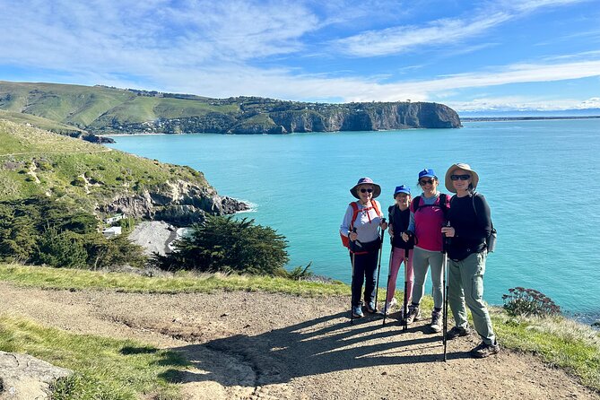 Lyttelton Shore Excursion - Guided Walking Tour and Picnic - What the $186.17 price includes
