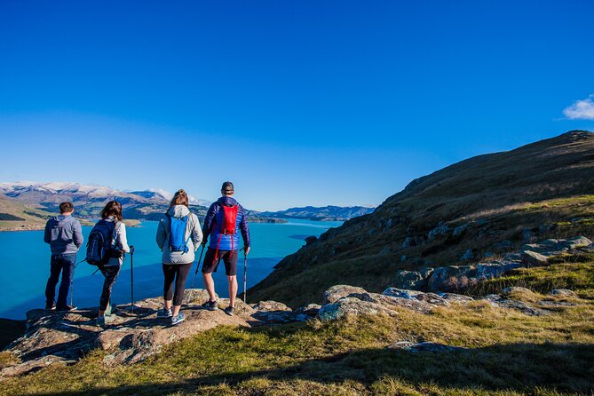 Lyttelton Shore Excursion - Guided Walking Tour and Picnic - Sumner Beach starts the day gently