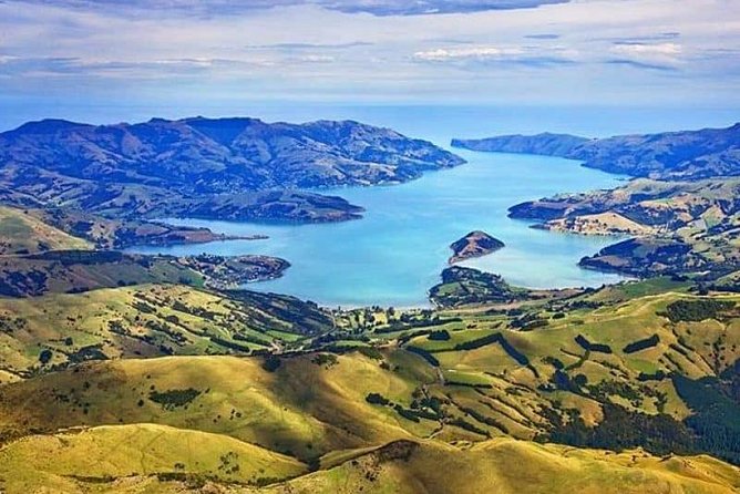 Lyttelton Shore Excursion: Twin Harbour Tour (Lyttelton & Akaroa) - Why the Twin Harbour Tour Works as a Port Day