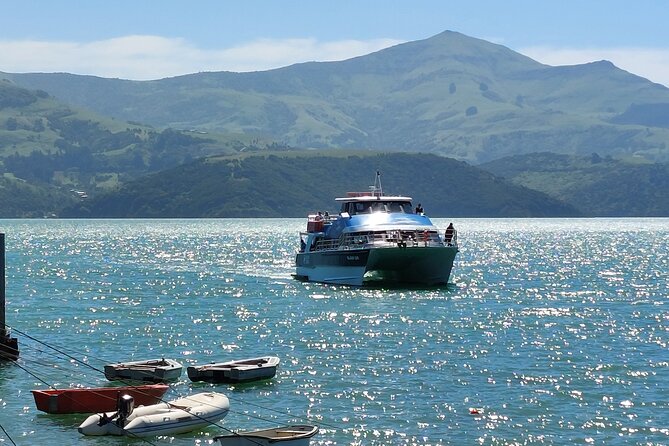Lyttelton Shore Excursion: Twin Harbour Tour (Lyttelton & Akaroa) - Two Hours With Black Cat Cruises