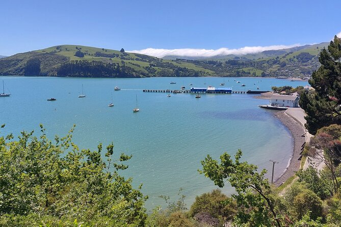 Lyttelton Shore Excursion: Twin Harbour Tour (Lyttelton & Akaroa) - Handling the Main Concern: Finding the Vehicle