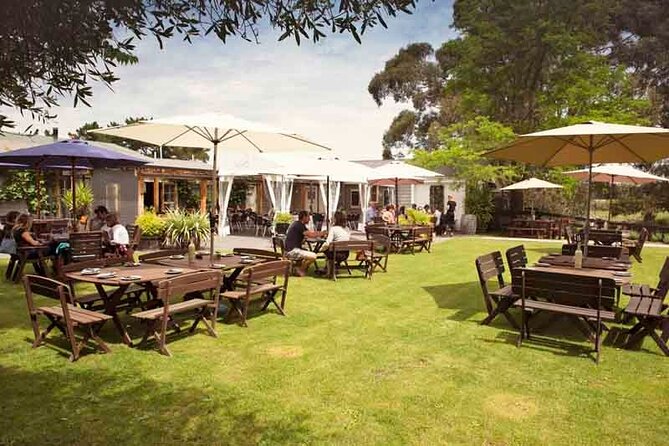 Lyttelton Shore Excursion - Waipara Wine Tour With Lunch - What you will taste