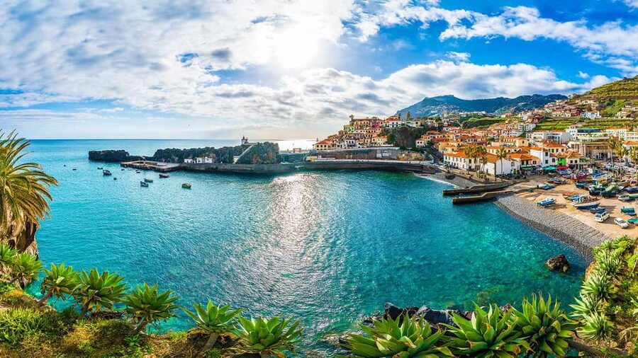 Madeira: Private Tour for Cruise Ship Passengers - Starting at the Funchal cruise terminal