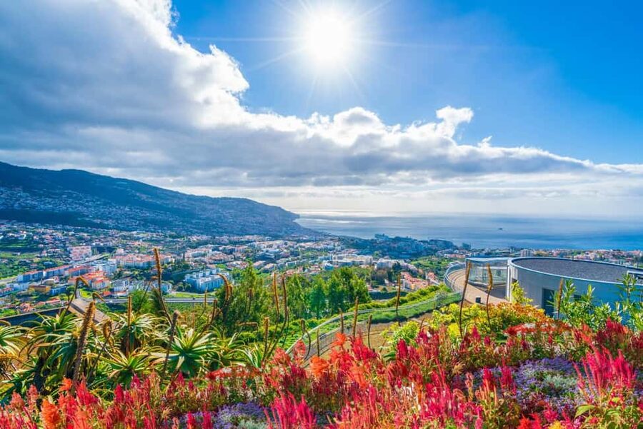 Madeira: Private Tour for Cruise Ship Passengers - Câmara de Lobos for a more grounded stop