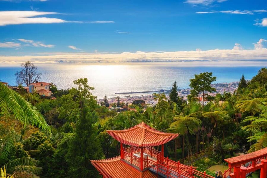 Madeira: Private Tour for Cruise Ship Passengers - What the drivers add to the experience