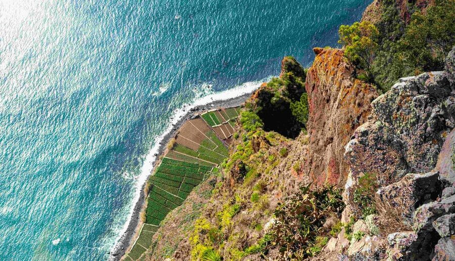 Madeira South Tour: Cabo Girão, Waterfalls for Cruise Ship - Key points to know before booking