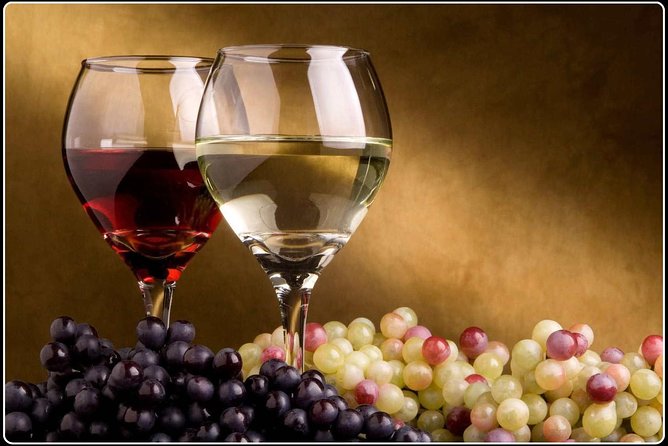 Marlborough Wine Region Tour from the Port of Picton - Forrest Wines Offers Something Different