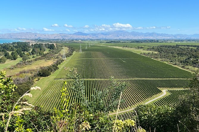 Marlborough Wine Region Tour from the Port of Picton - The Vines Village Adds Local Flavour