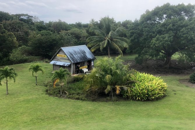 Martinique Shore Excursion - Authentic Tour of Southern Martinique - Small-group transport, comfort, and timing