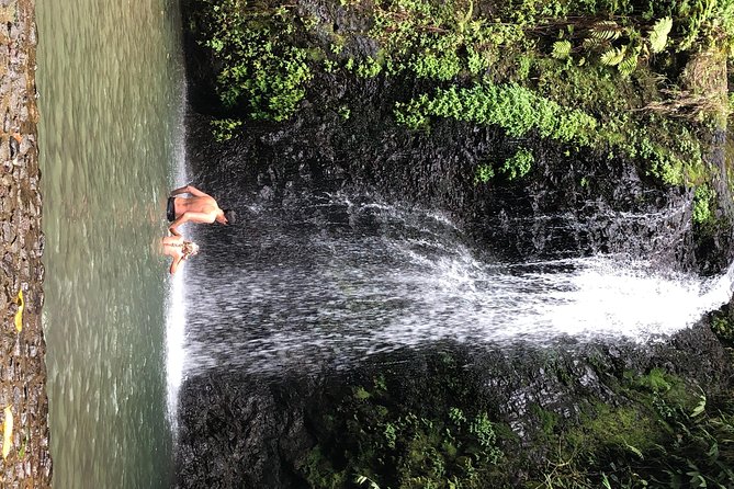 Martinique Shore Excursion - Unmissable Martinique North tour - Comfort, mobility, and what to pack
