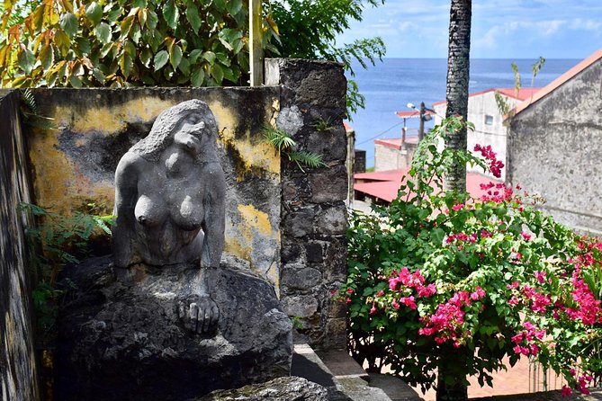 Martinique Shore Excursion - Unmissable Martinique North tour - La Trace takes you into wet, winding rainforest
