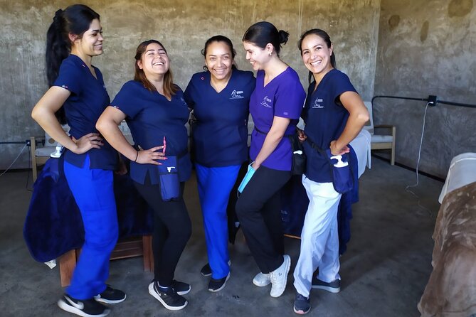 Massage Experience with Certified Therapists & Pickup Drop-Off - Why the $62 price can be good value