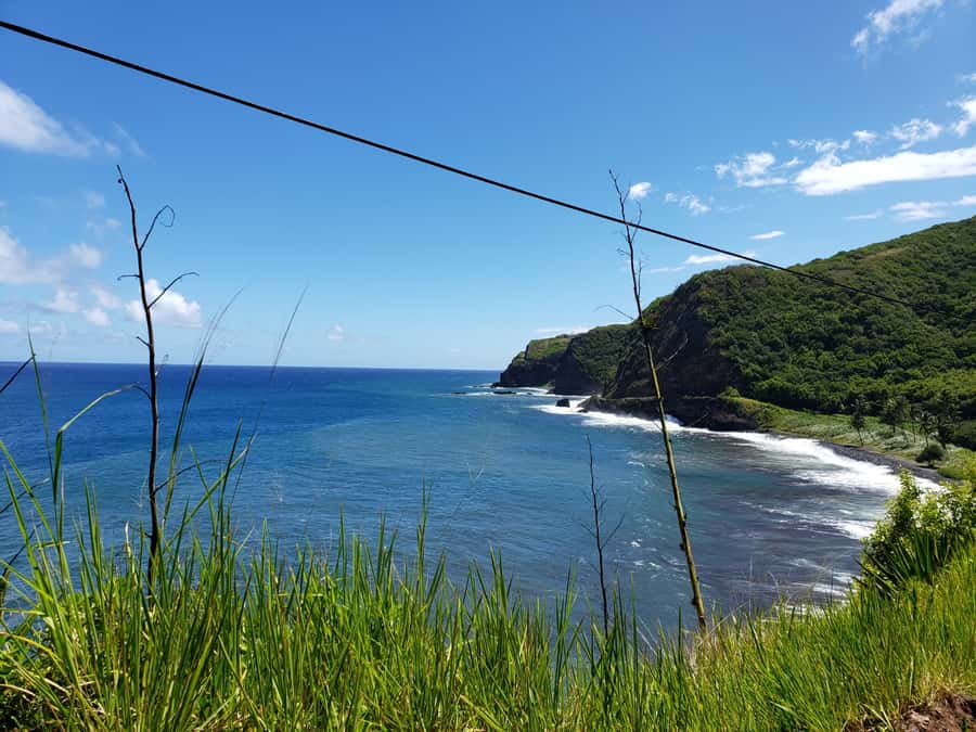 Maui : Road to Hana Tour w/ Pickup near Cruise Port - Starting near the cruise port