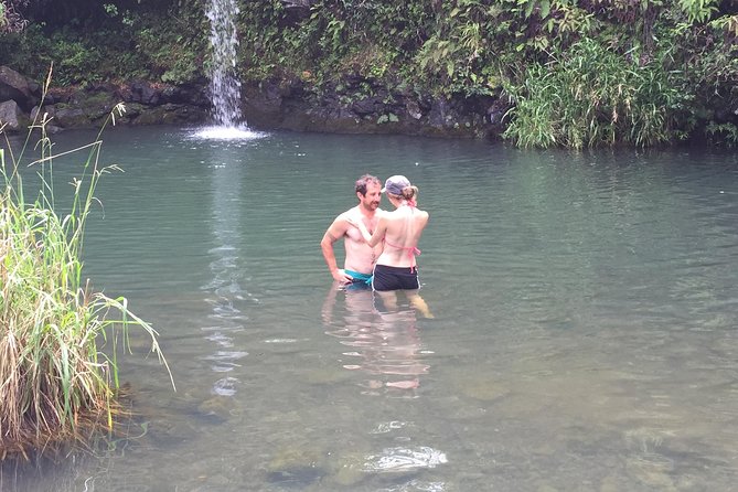 Maui Shore Excursions : Road to Hana With Pickup & Lunch - Waterfalls, bamboo, and the Pua‘a Ka‘a break