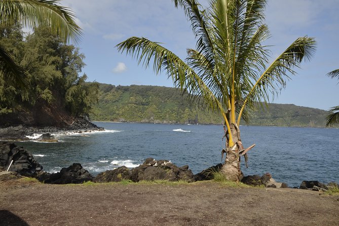 Maui Shore Excursions : Road to Hana With Pickup & Lunch - Rainbow eucalyptus, Hana Farms, and roadside Maui