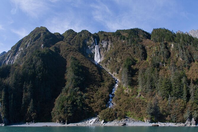 Meares Glacier Cruise Excursion from Valdez - Is the $199.24 price a good value?