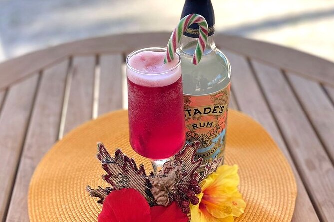 Mixology Class in Bridgetown – 10 Minutes from Cruise Terminal - Key points before you book