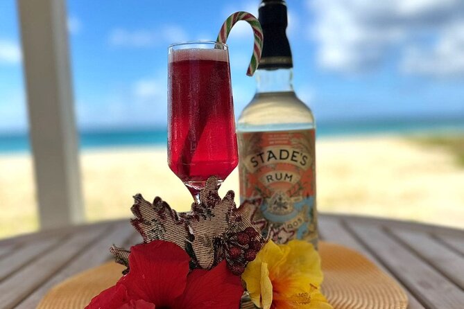 Mixology Class in Bridgetown – 10 Minutes from Cruise Terminal - Why this class works well on a cruise day