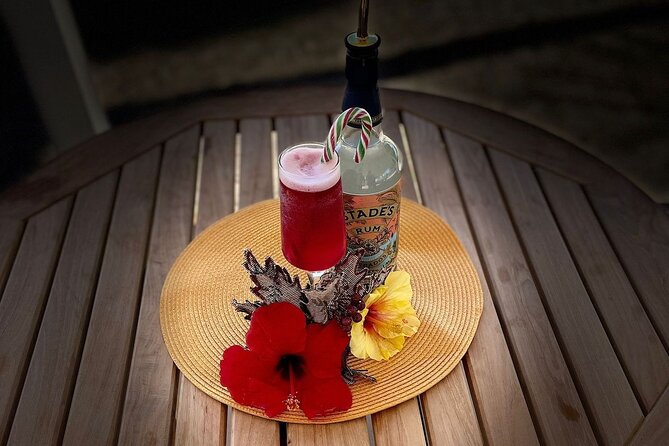 Mixology Class in Bridgetown – 10 Minutes from Cruise Terminal - Who will enjoy this most